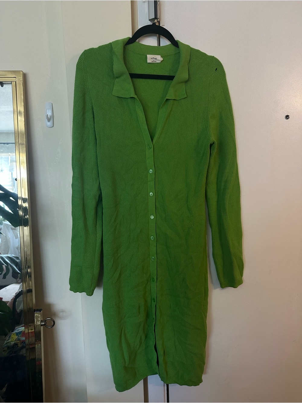 Aritzia Long Sleeve Button-Down Green Dress